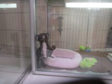 ジャンプ(*ﾟ∀ﾟ*)