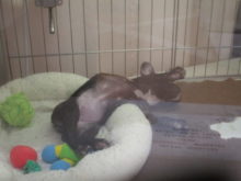 ぐい〜〜( ´ ▽ ` )ﾉ