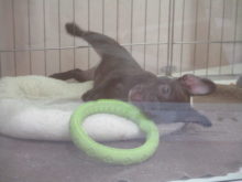 楽しいヽ(・∀・)ノ