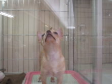 何かある!?( ﾟ∀ ﾟ)