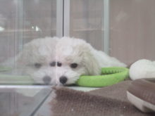 BIGベイビー(・◎・)♪