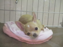 GW最終日(´∇｀)