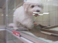 わーい✩°｡(* ・꒳ ・*  )