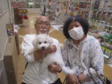 家族が決まりました(*´ω｀*)