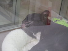 アゴシワ(*ﾟ∀ﾟ*)