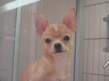 キラキラン(｀・ω・´)☆