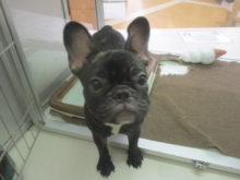 出来るよ〜( *¯ ꒳¯*)