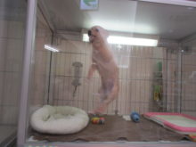 ヒャホーイ(∩ﾟ∀ﾟ)∩