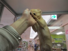 確認(｀・ω・´)