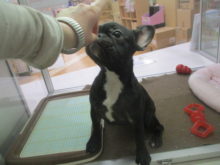 トレーニング(o^-^)