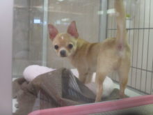 見つかった(~ω~；)))