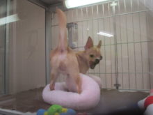 楽しめましたか？(´∀｀)