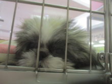 おはなみず(´・∀・)