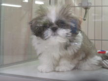 い、いやぁ〜(^_^;)