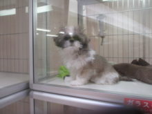 職人(｀・ω・´)