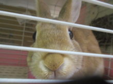 9月！！！(^O^)♪