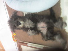 もっと!!(*´｀*)