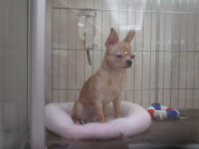 寝てる…？(=´∀｀)