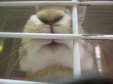 今日のポチたま(*´∀｀*)