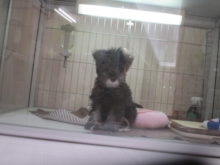 3連休初日(*^_^*)