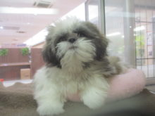 ドカッとね(ง ˙ω˙)ว