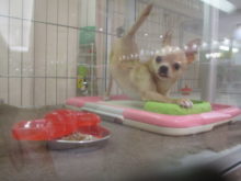 フタして終わり( *｀ω´)