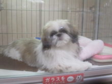 はい終了～(。-∀-)