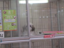 見テル・・・(-.-)