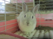 新メンバー紹介(・∀・)