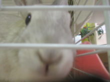 ぬーん( ‘ω’  )