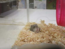 可愛いポイント(*ﾟ∀ﾟ*)