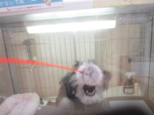 ぬわあああ( ^o^)