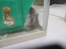 イタズラ(￣∀￣)