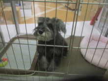 開けて～(*∩∀∩*)♪