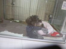 あ～れ～（・３・）