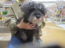 家族が決まりました(´∀｀*)