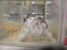 奇跡の一枚(☆∀☆)