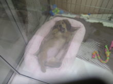 気にしな～い(*´∀｀*)