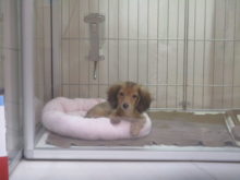 チェックチェック( ﾟ∀ ﾟ)