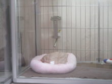 あったかいよねぇ(*^_^*)