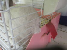 メリークリスマス(☆∀☆)