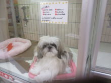 冬が本気出してきた((((；ﾟДﾟ))))