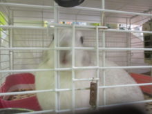 お世話になりました！！(*´ω｀*)