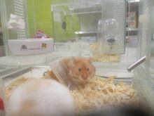 頑張ってるよ(´∀｀*)