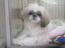 約3分の1(ﾟoﾟ;