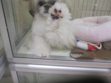 ﾊｲ!ﾜｶﾘﾏｼﾀ!(^-^)/