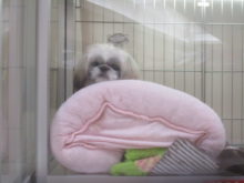 見えな～い(  ；∀；)