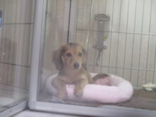 キミは…??(*ﾟ∀ﾟ*)