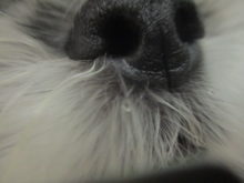 分かるかな?(  ˙꒳​˙ )