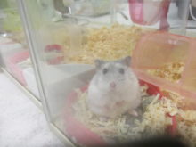 言いたい～(・_・)